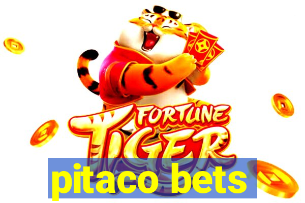 pitaco bets